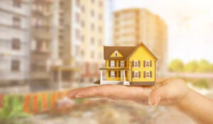 DDN Property