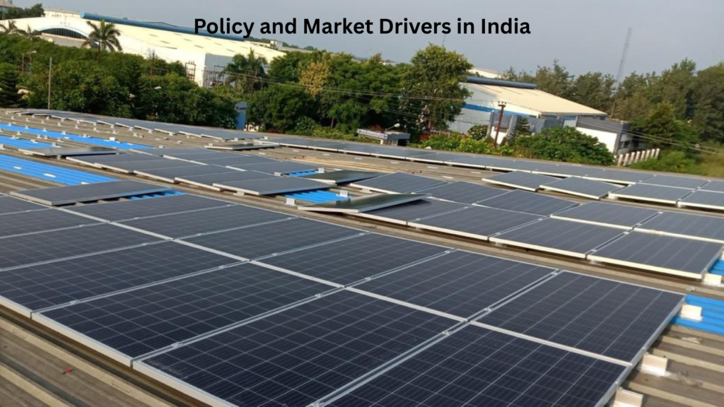 Policy and Market Drivers in India