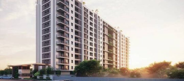 royal gravitaz profile